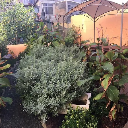 Amazing Vintage Flat In Principe Real Lisbon